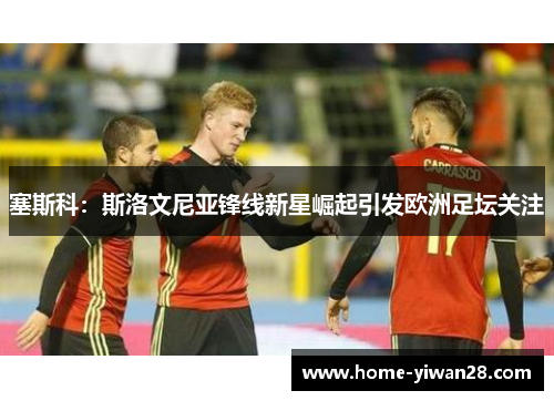 塞斯科：斯洛文尼亚锋线新星崛起引发欧洲足坛关注