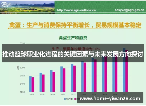 推动篮球职业化进程的关键因素与未来发展方向探讨